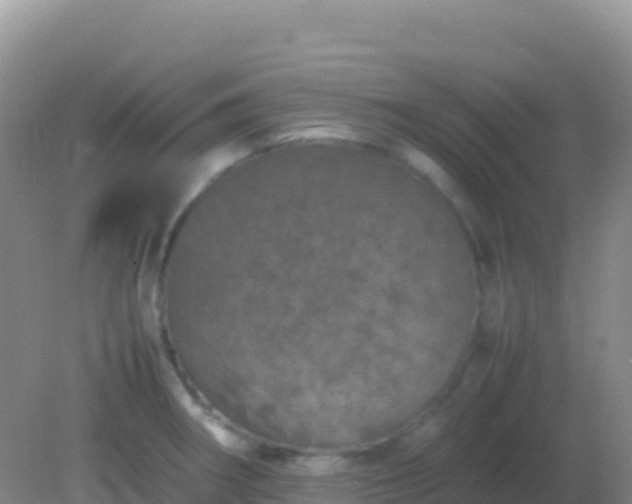 X0000082171282200701262350