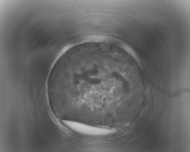 X0000082171283200701262350