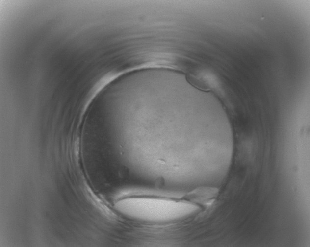 X0000082171284200701262350