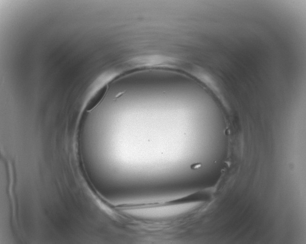 X0000082171285200701262350