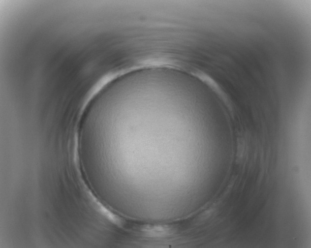 X0000082171286200701262350