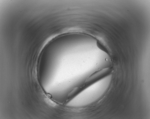 X0000082171288200701262350