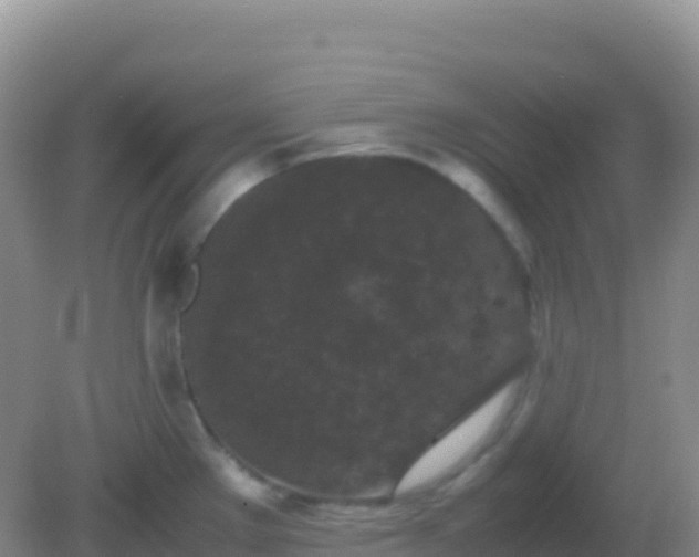 X0000082171289200701262350