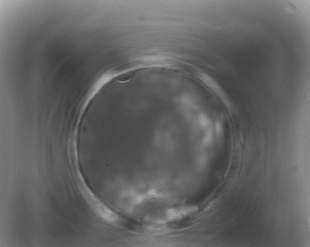 X0000082171291200701262350