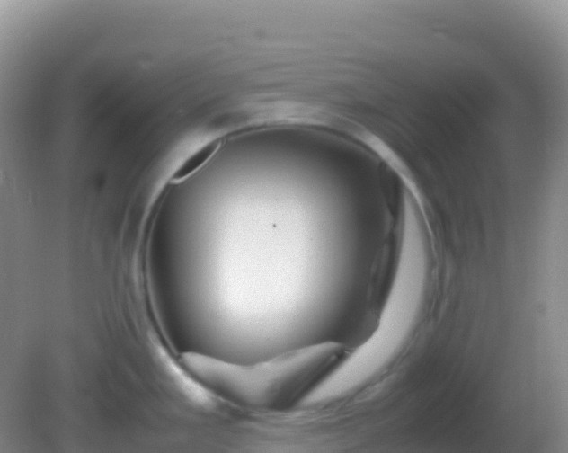 X0000082171293200701262350