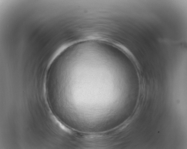 X0000082171294200701262350