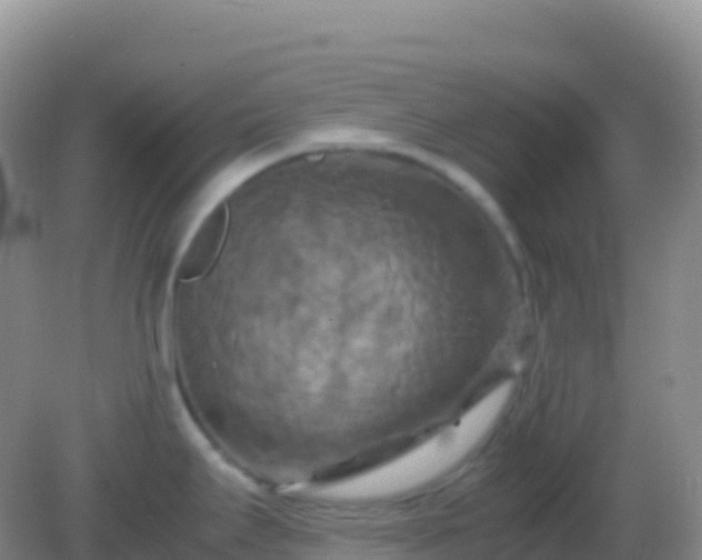 X0000082171295200701262350