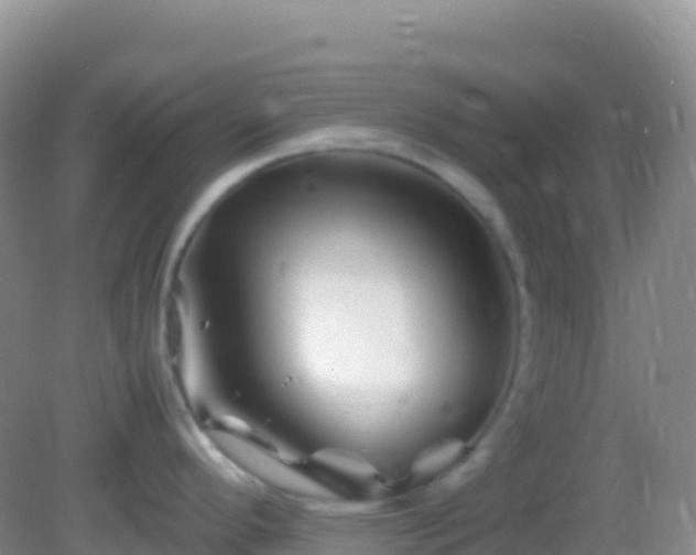 X0000082171296200701262350