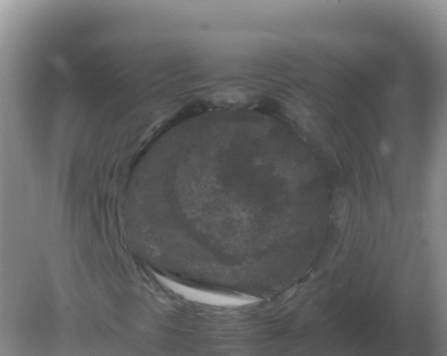 X0000082171297200701262349