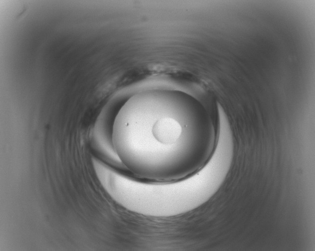 X0000082171298200701262349