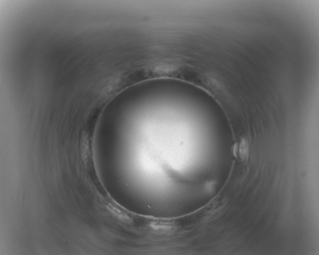 X0000082171299200701262349