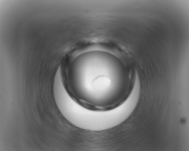 X0000082171300200701262349