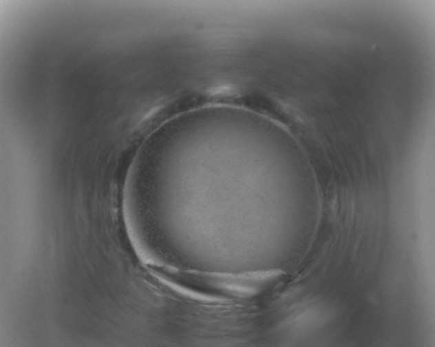 X0000082171301200701262349