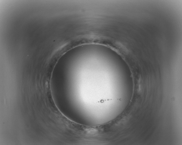 X0000082171302200701262349