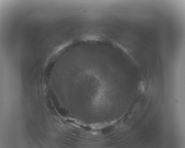 X0000082171303200701262349