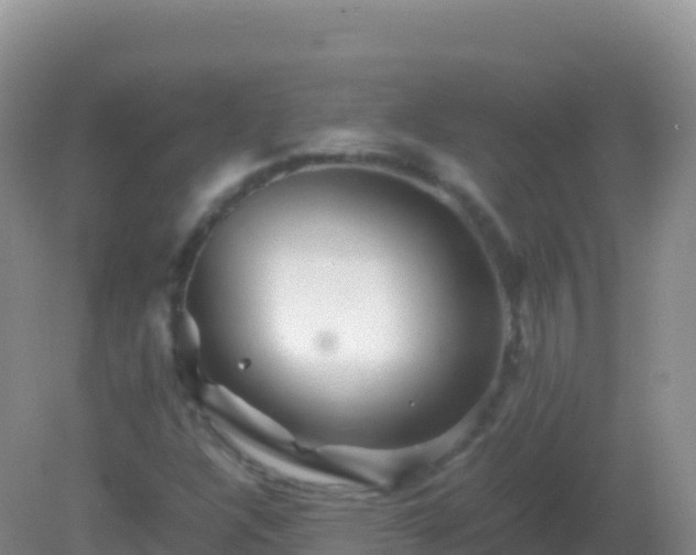 X0000082171304200701262349