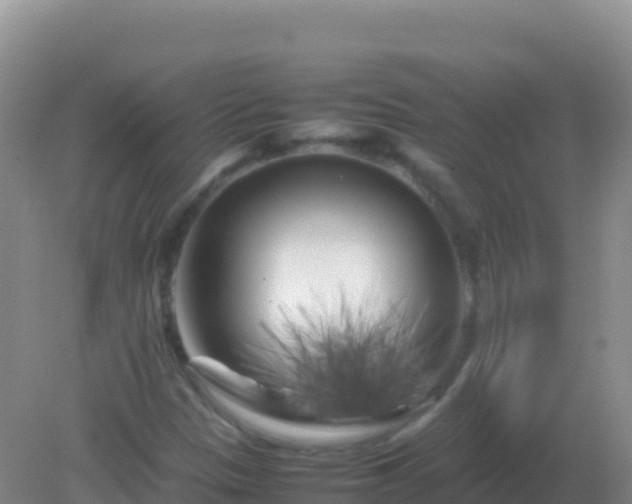 X0000082171305200701262349