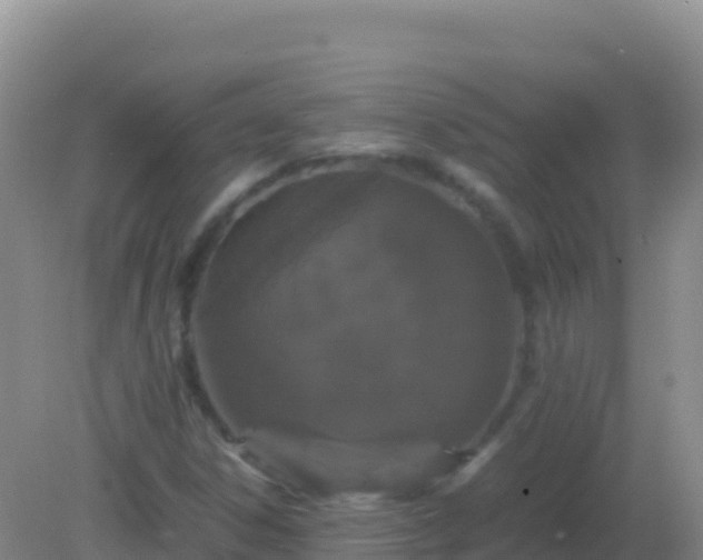 X0000082171306200701262349