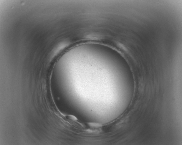 X0000082171307200701262350