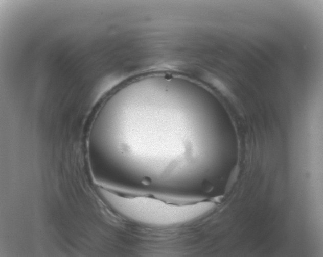 X0000082171308200701262350