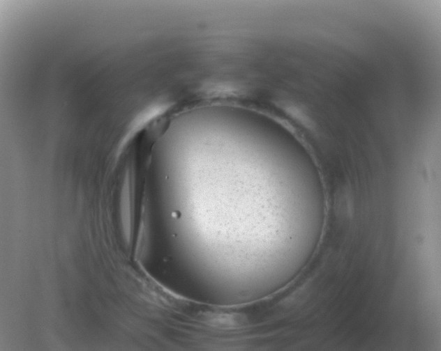 X0000082171309200701262350