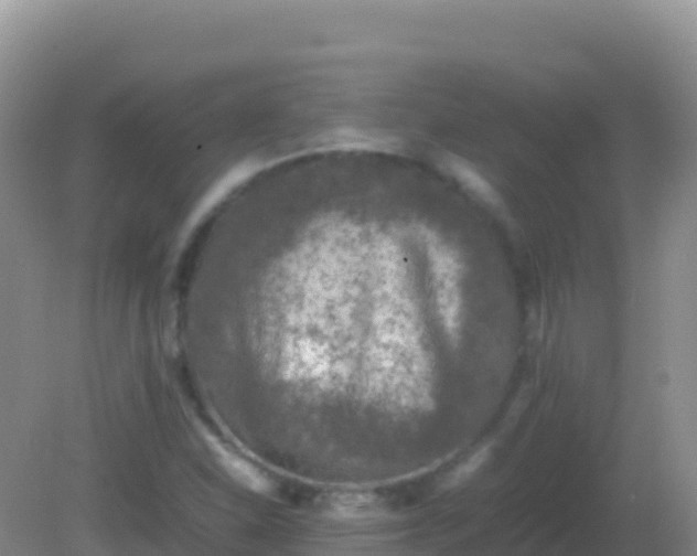 X0000082171310200701262350