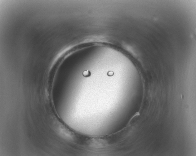 X0000082171312200701262350