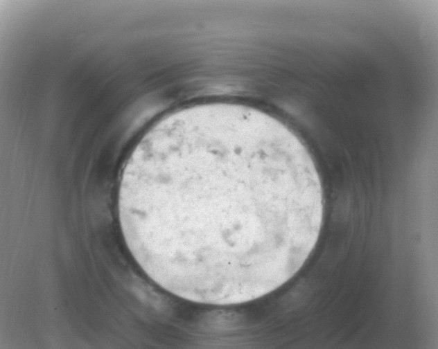 X0000082171314200701262350