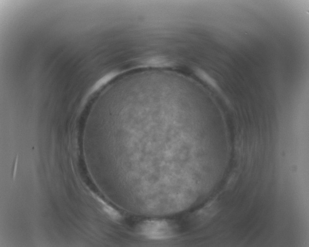 X0000082171315200701262350