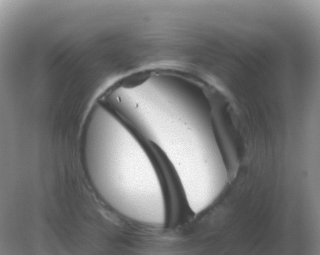 X0000082171316200701262350