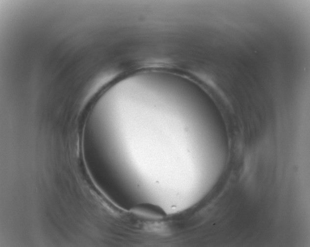 X0000082171317200701262350