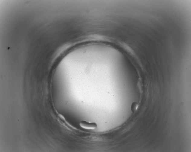 X0000082171318200701262350