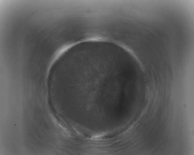 X0000082171319200701262350