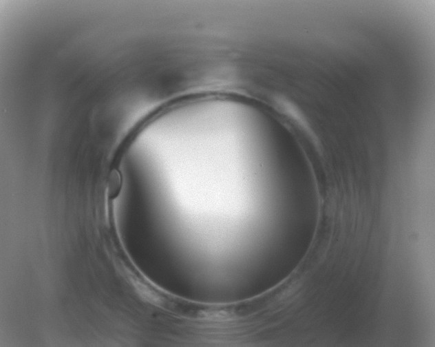 X0000082171320200701262350