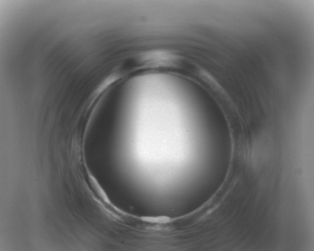 X0000082171321200701262350