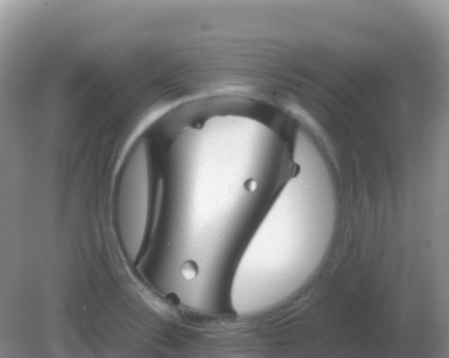 X0000082171324200701262350