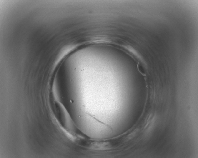 X0000082171325200701262350