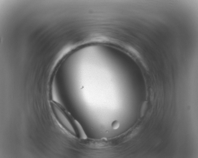 X0000082171326200701262350