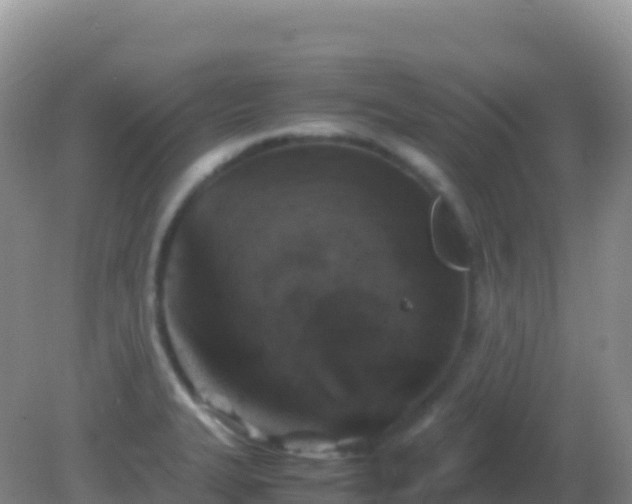 X0000082171327200701262350