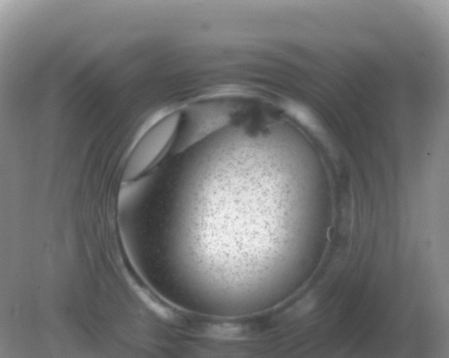 X0000082171329200701262350