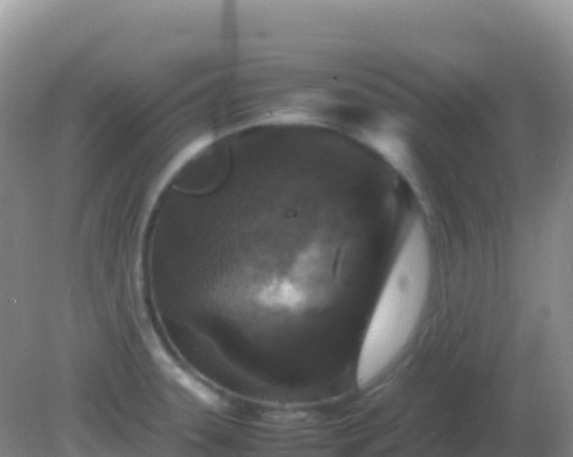 X0000082171331200701262350