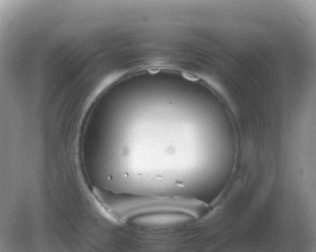 X0000082171333200701262350