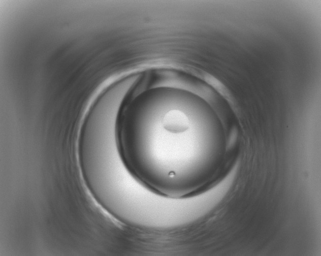 X0000082171334200701262350