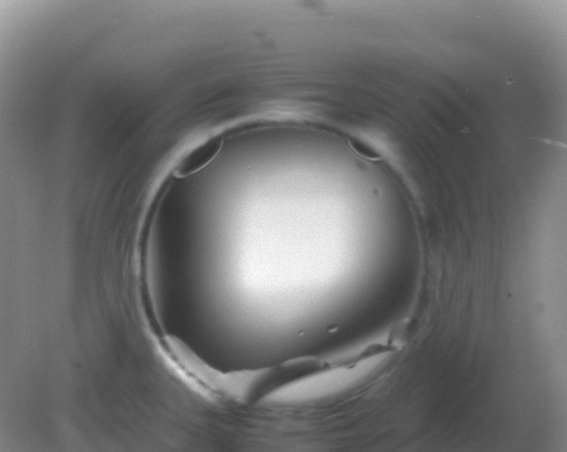 X0000082171335200701262350