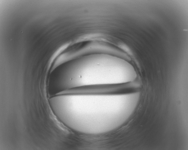 X0000082171336200701262350