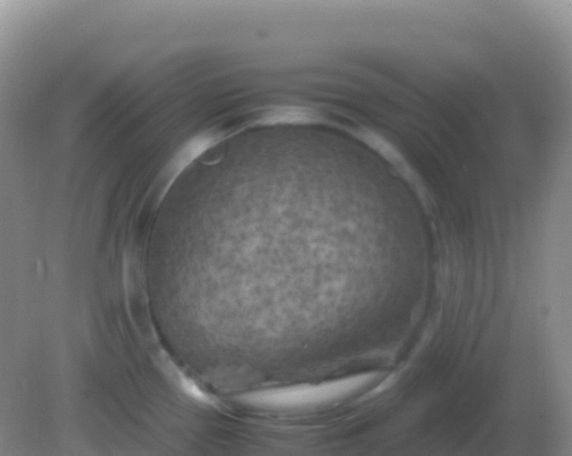 X0000082171337200701262350