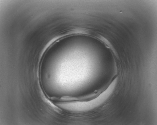 X0000082171339200701262350