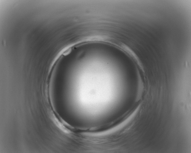 X0000082171340200701262350