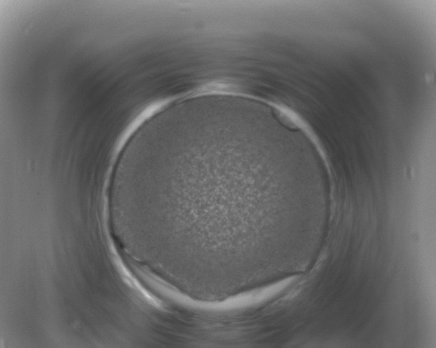 X0000082171341200701262350