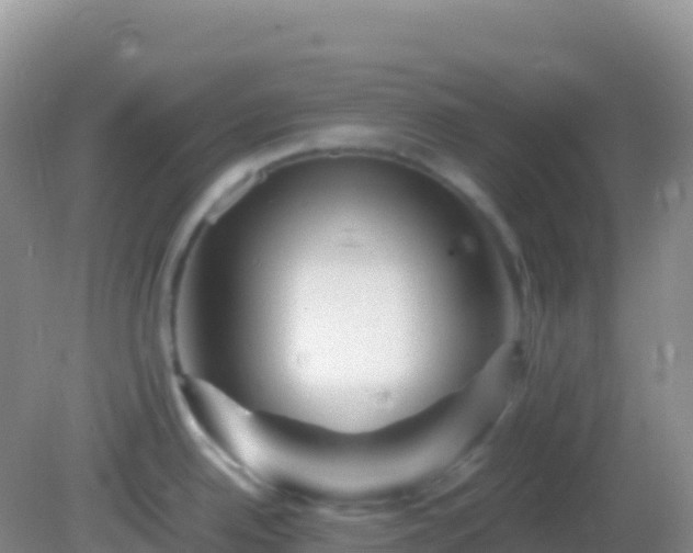 X0000082171342200701262350